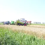 Panzió Korendijk Zuid-Beijerland