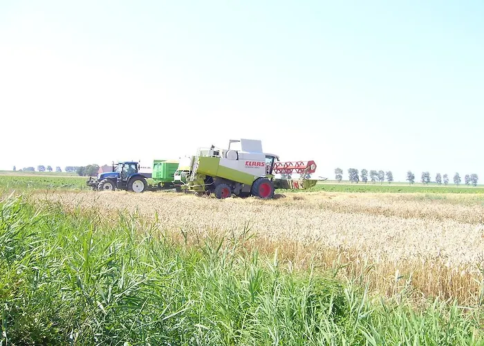 Bed and Breakfast Korendijk Zuid-Beijerland