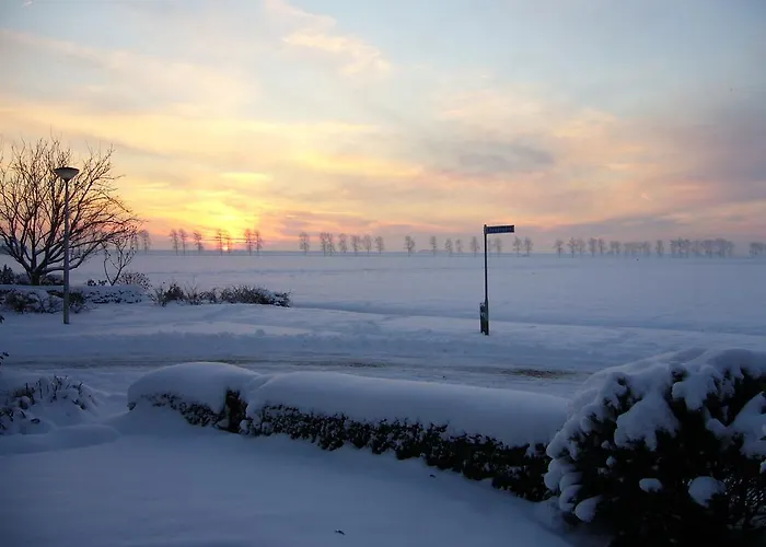 Bed & Breakfast Korendijk 3*